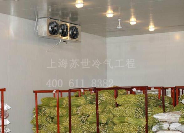 蔬果冷庫(kù) 保鮮庫(kù) 021-66105069 上海蘇世值得信賴(lài)