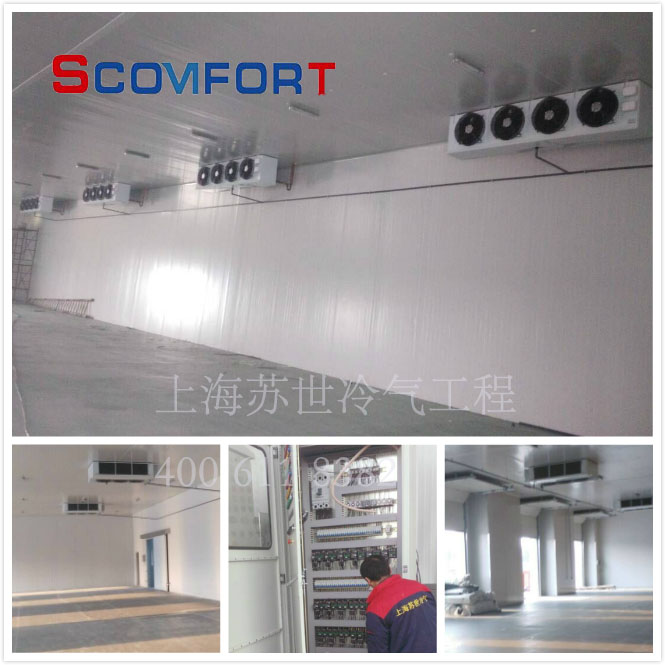 上海小型冷庫全套報價 專業(yè)后廚冷庫設(shè)計 021-66105069